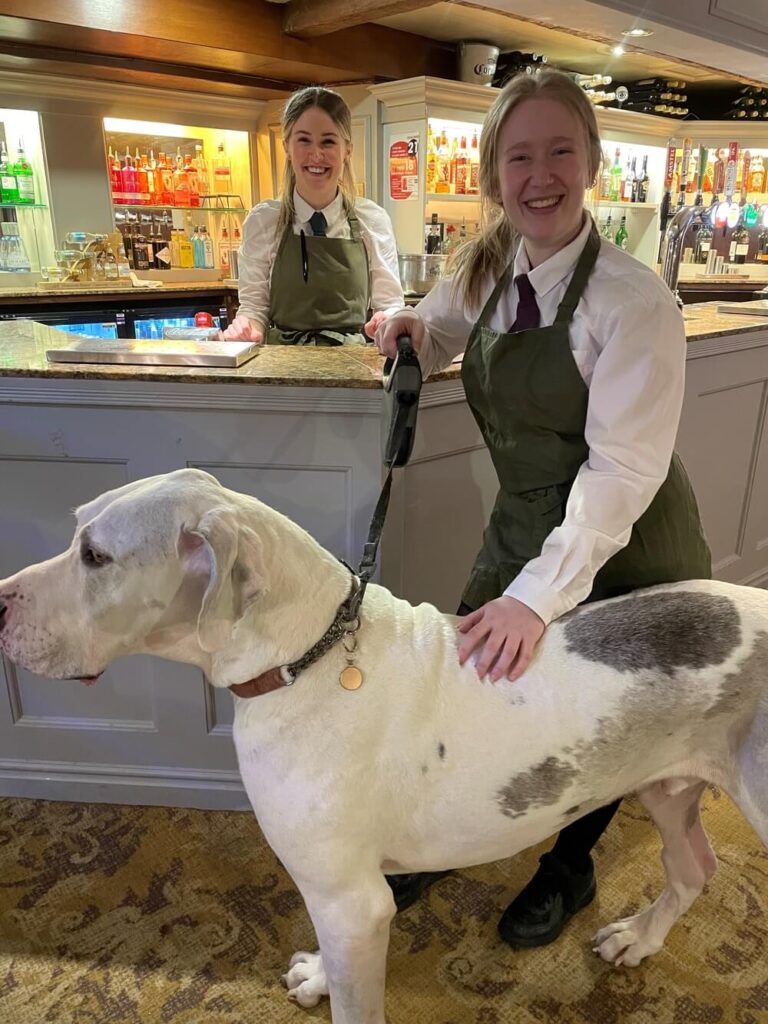Dog Friendly in the Bridge Hotel Bar
