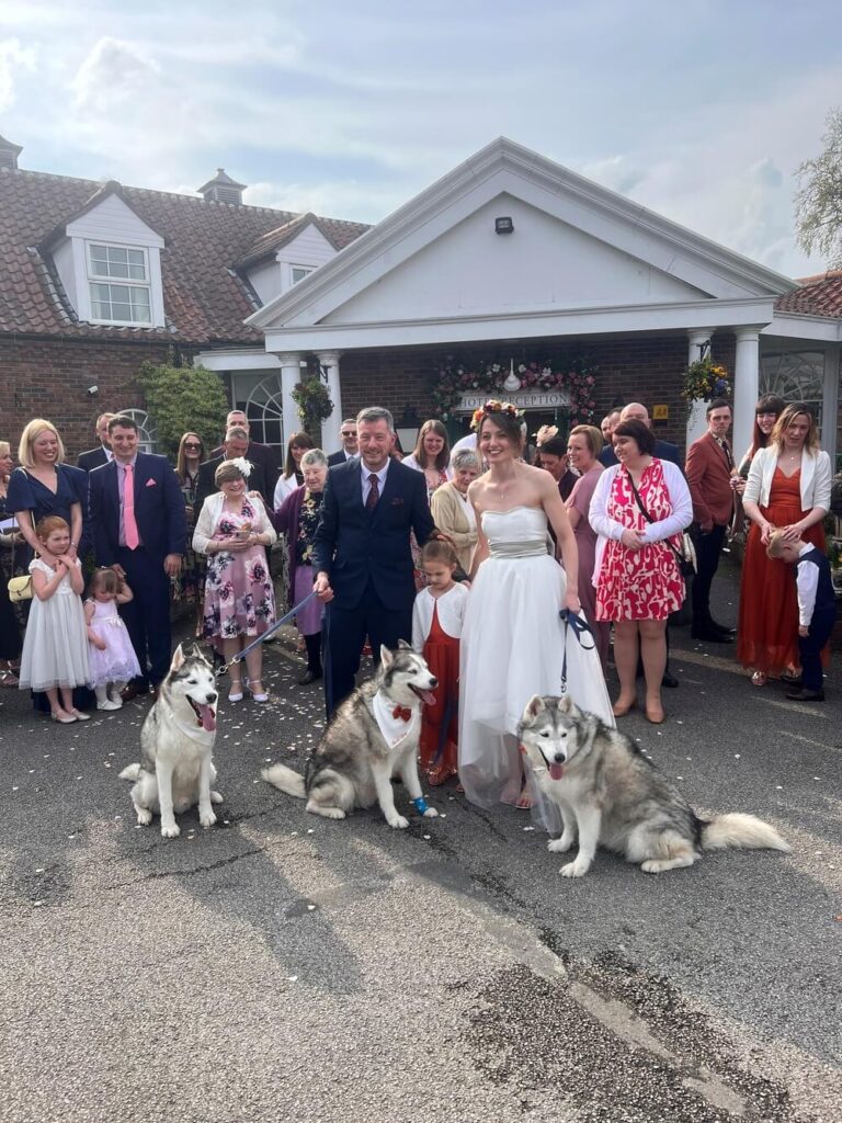 Husky Dogs at Bridge Hotel Wedding